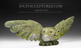 16" Masterpiece Owl Spirit by Famous Toonoo Sharky