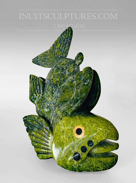 10" "Covid Collection" Apple Green Fish Spirit with Orange Pekoe eyes by Toonoo Sharky