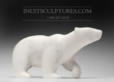 16" THE Perfect Polar Bear by Tuk Nuna