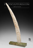 22"  Walrus Tusk by Jassie Keyookta  *Ancient Tales* (govt control)